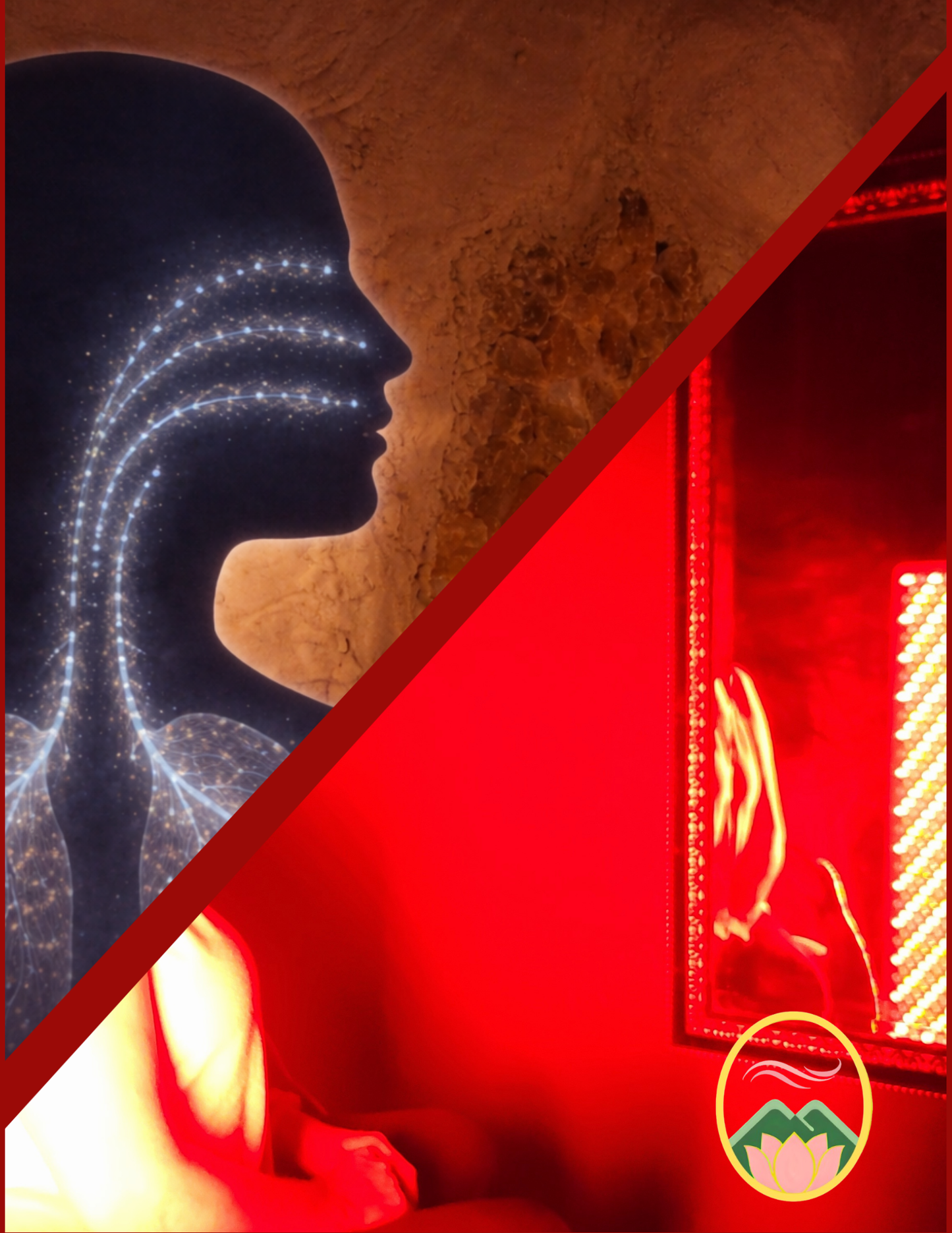 Sinus & Circulation Package